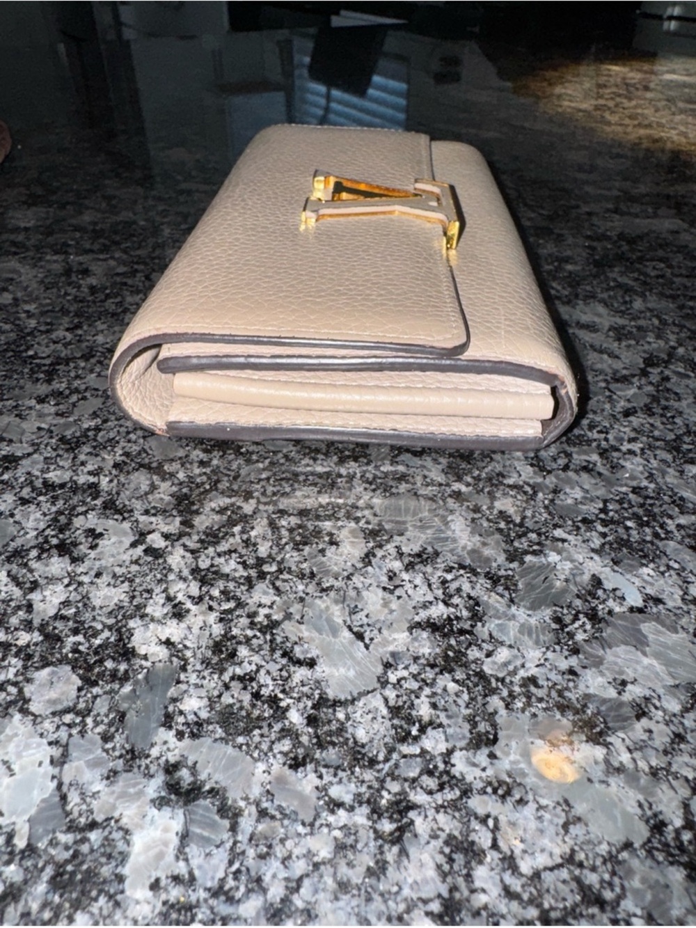 Louis Vuitton Taupe Cappucines Leather Wallet with Gold LV Emblem - Picture 10 of 16